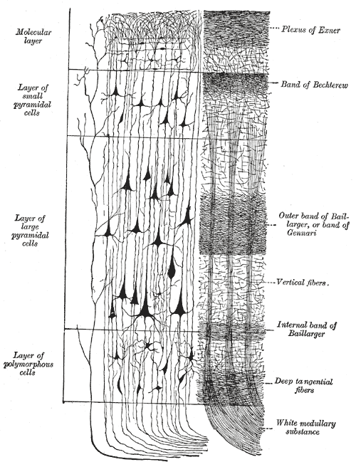 Drawing showing layer structure