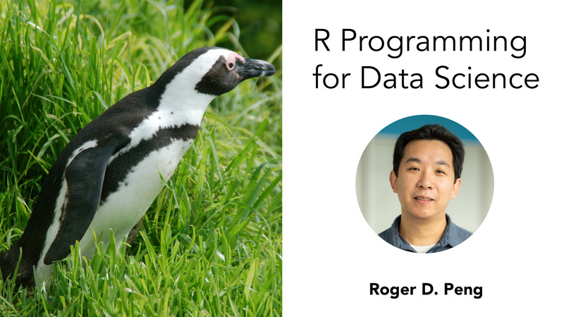 Cover image for the online course R Programming for Data Science by Roger D. Peng
