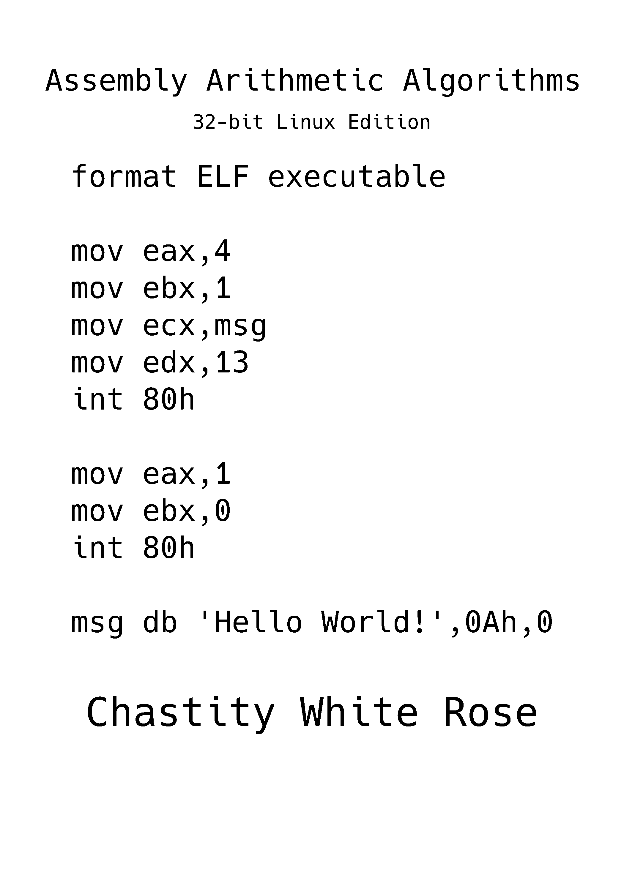Cover image for  Assembly Arithmetic Algorithms-Linux: 32-bit Linux Edition by Chastity White Rose