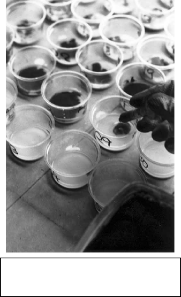 Adding a colouring oxide by the volumetric addition technique.  
**Tip:** Use a smaller syringe for this exercise, e.g. 5 ml