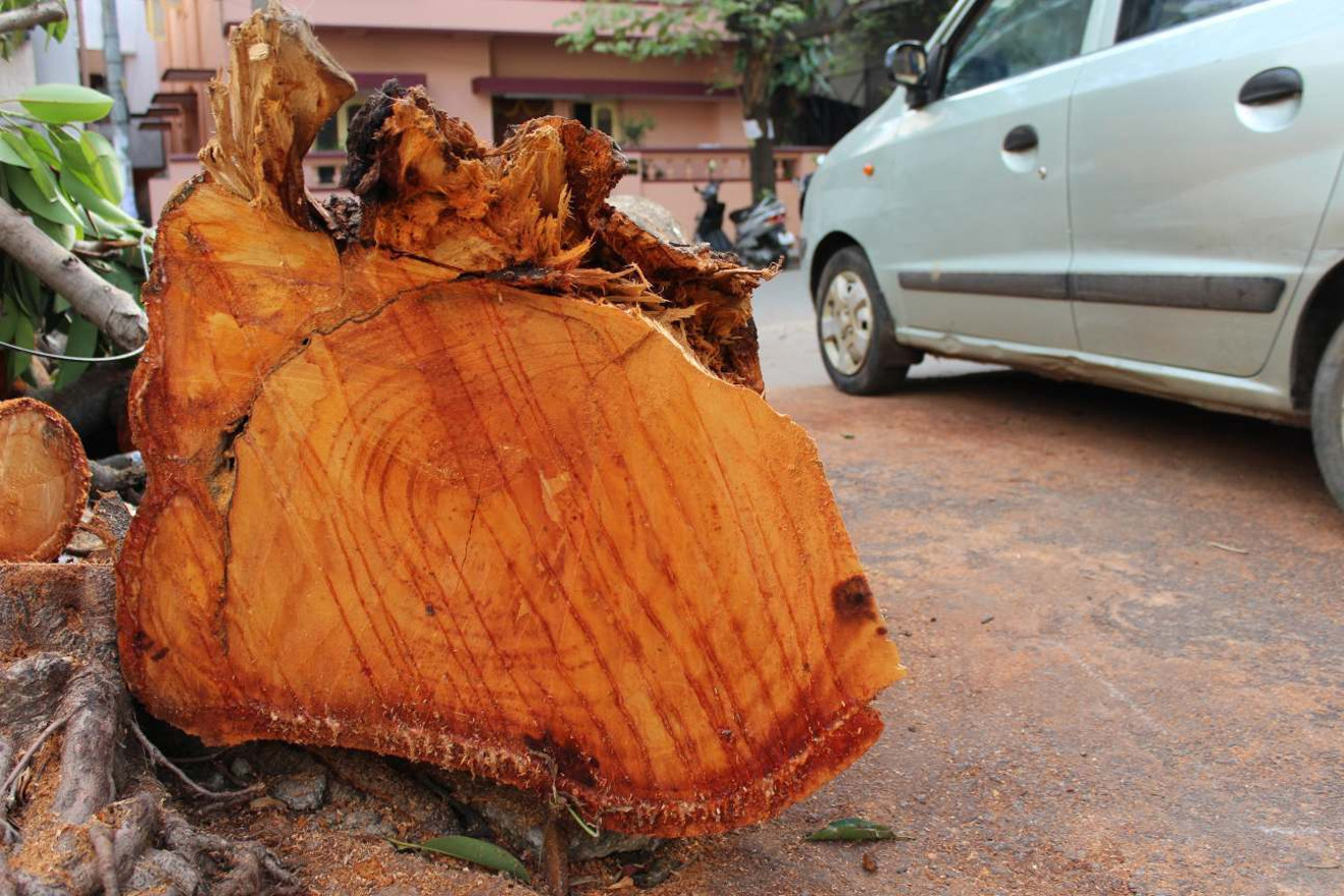 Photo by Fouqia Wajid