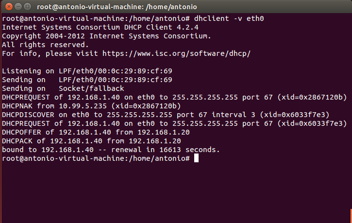 Fig 62: Renewing the IP address