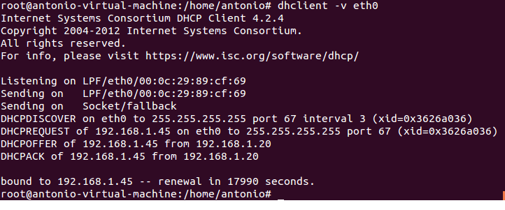 Fig 64:Renewing the IP address