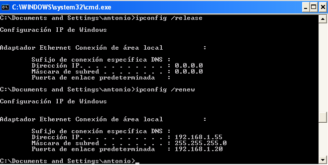 Fig 57: Assigning a fixed IP address