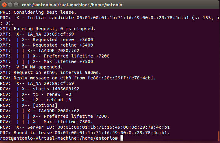 Fig 58: Getting an IP address in Linux