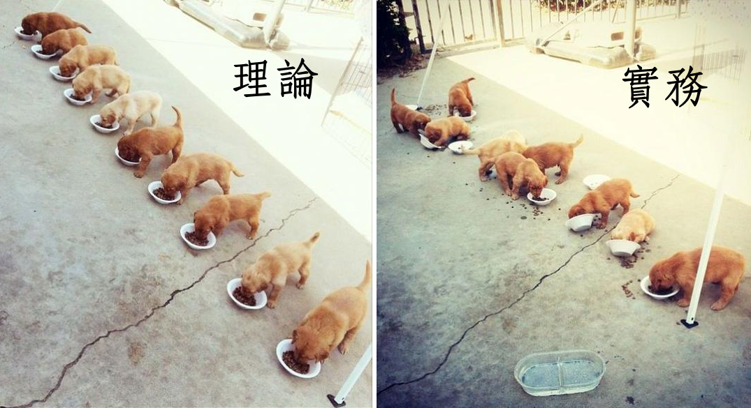 圖片來源: http://goo.gl/lQ4qN0