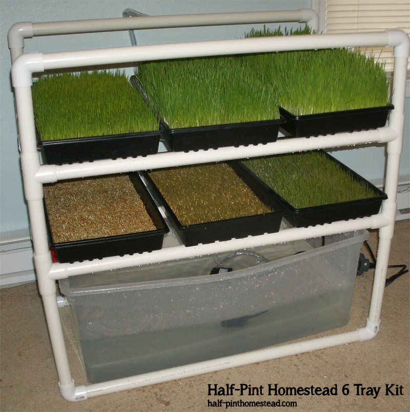 The Half-Pint Homestead 6 Tray Kit