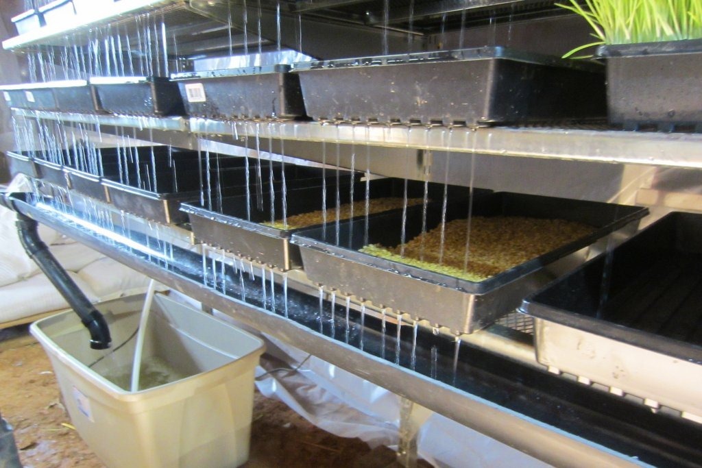 Quartz Ridge Ranch fodder system