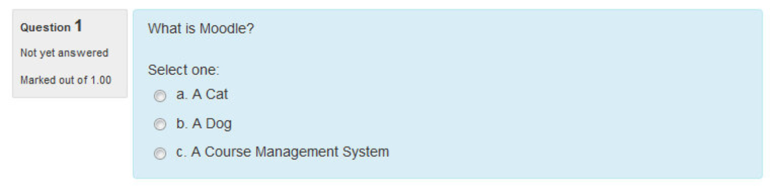 Figure 8-9 A multiple-choice question