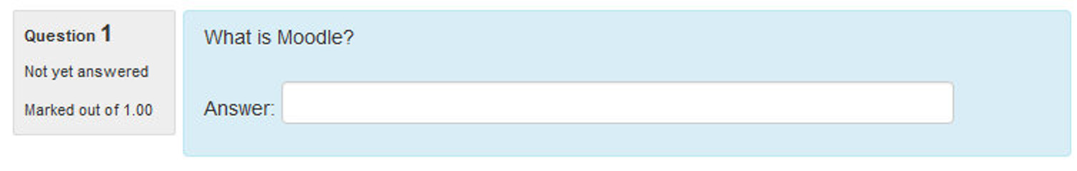 Figure 8-11 A short answer question