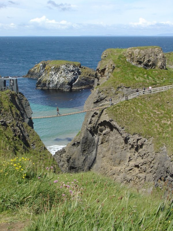 Rope Bridge