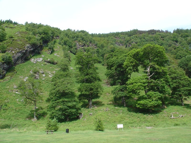 Parkanlage beim Powerscourt Waterfall