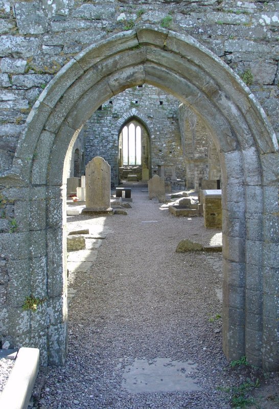 Blick in die Kirche der Timoleague Abbey