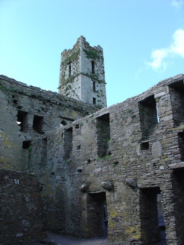 Timoleague Abbey