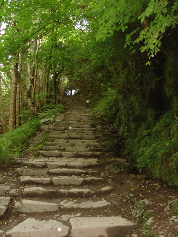 Stufen beim Torc Waterfall