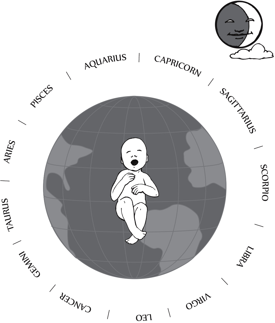 What is the Moon Sign