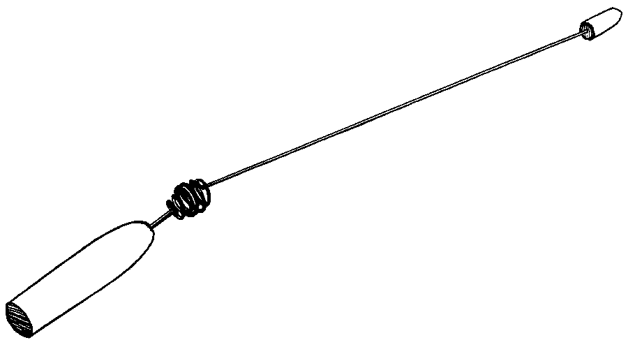 The Pasquini Pendulum