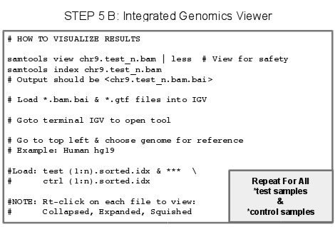 IGV: book_pipeline_notes12.jpg