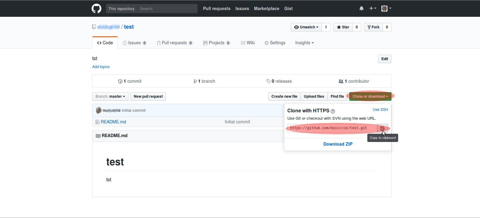 Cloning a Repository