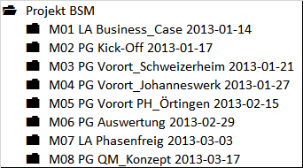 Abbildung 7.1: Meilensteinordner