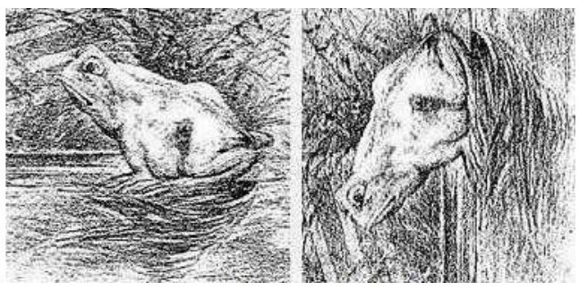 Matrisorganisationernas dubbla ansikten