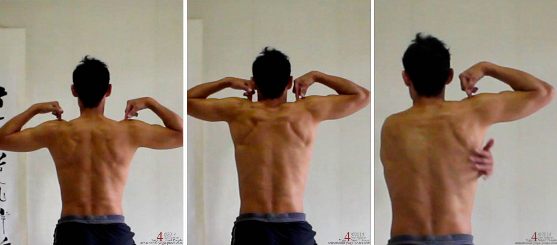 When practicing elevation you can place your finger tips on the peaks of your shoulders. Notice the peaks moving upwards and inwards as you lift your shoulders.  
Elevating one shoulder at a time, use the free hand to feel the bottom tip of the working shoulder. Feel the bottom tip moving outwards (and upwards) as you lift the shoulder.