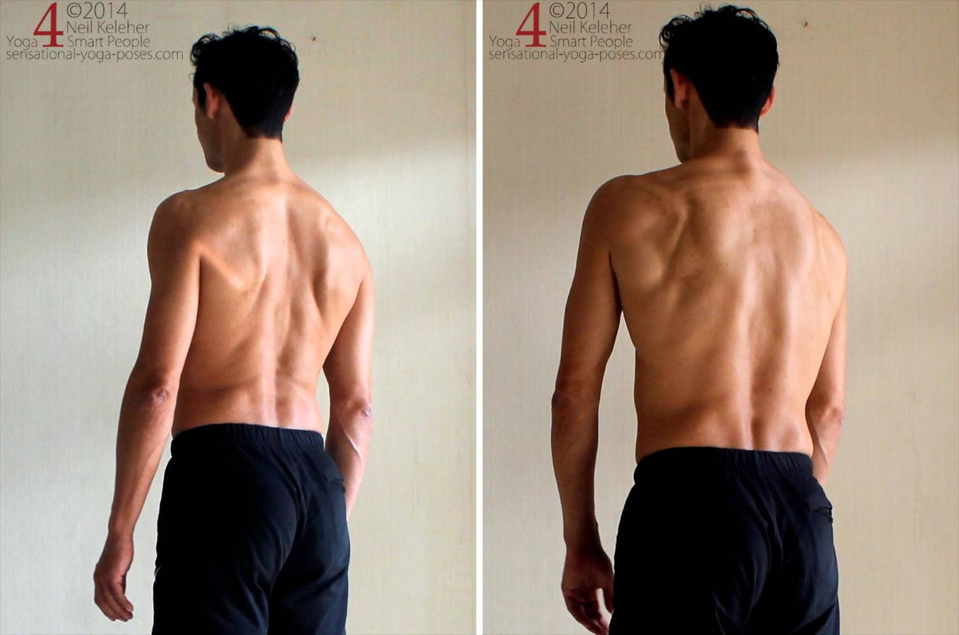 Protraction: Starting with shoulders relaxed, move shoulders forwards so that shoulder blades spread.  
Relax and repeat. 