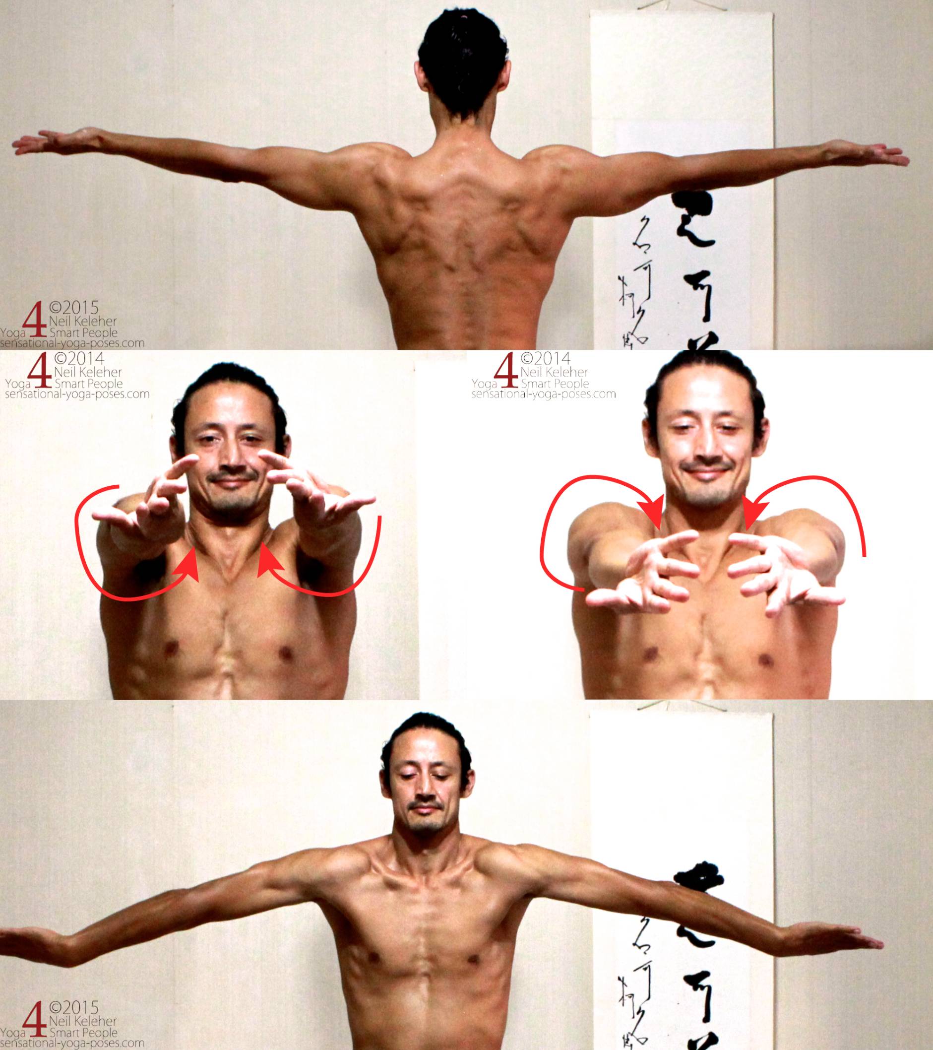 Arms to side, Externally rotated,  
Arms to front, externally rotated then internally rotated,  
Arms to side, Internally rotated.