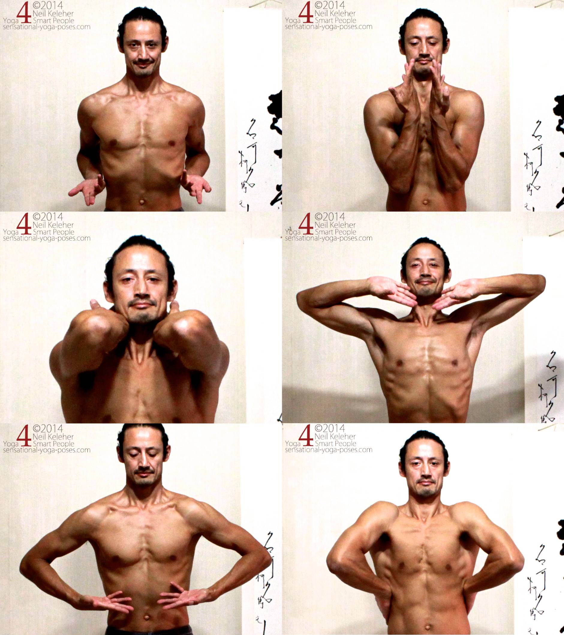 Elbows bent: elbows back, elbows down,  
elbows forwards,  elbows to sides with palms facing up in front of chin,  
elbows to side with palms in front of belly, elbows forwards with backs of hands against sides of waist.