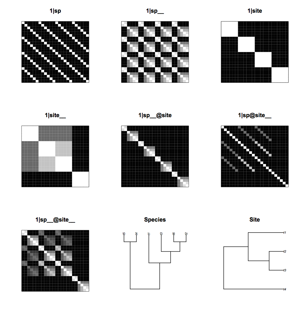 Fig. 4.12: The covariance matrices for the random effects for the bipartite model generated from `communityPGLMM.plot.re()`. The figure also shows the species and site phylogenies.