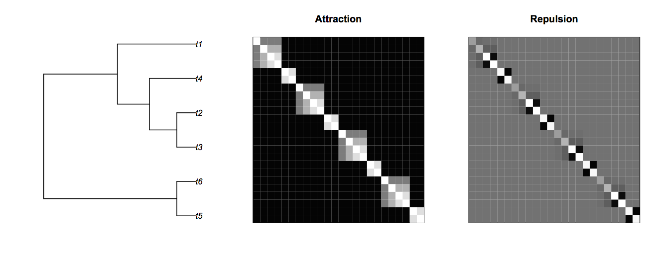Fig. 4.7: Covariance matrices for phylogenetic attraction and repulsion.