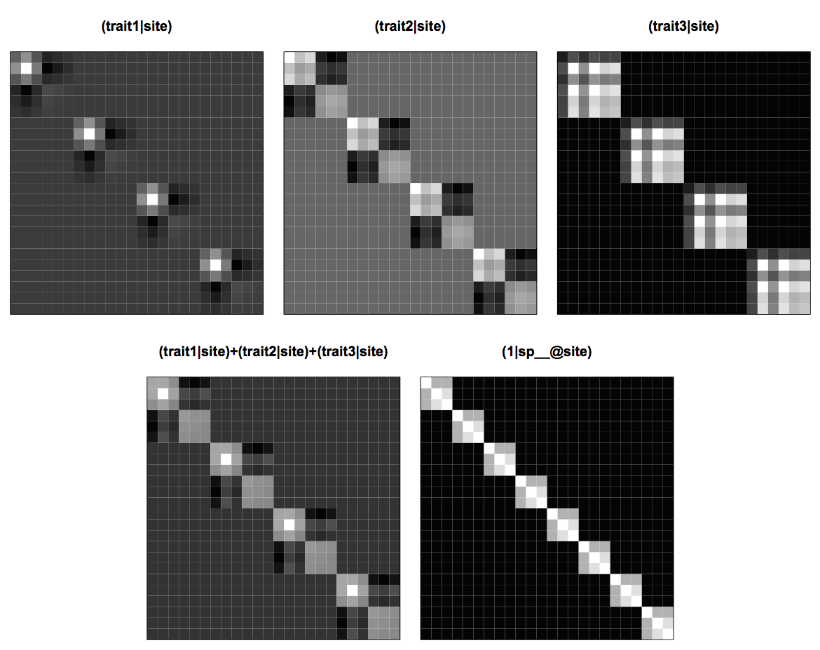 Fig. 4.9: Covariance matrices for a site-specific selection of trait values, `(trait1|site)`, `(trait2|site)` and `(trait3|site)`, the sum of all three of these matrices, and the phylogenetic attraction matrix `(1|sp__@site)`.