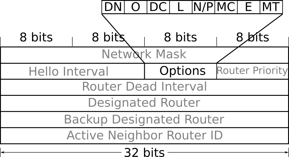 The options field within the OSPF Hello packet