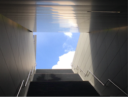 Figure II-1 Scaling with a Light at the End of the Tunnel