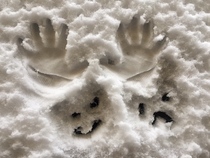 Figure 6-3 A Winter Yin and Yang