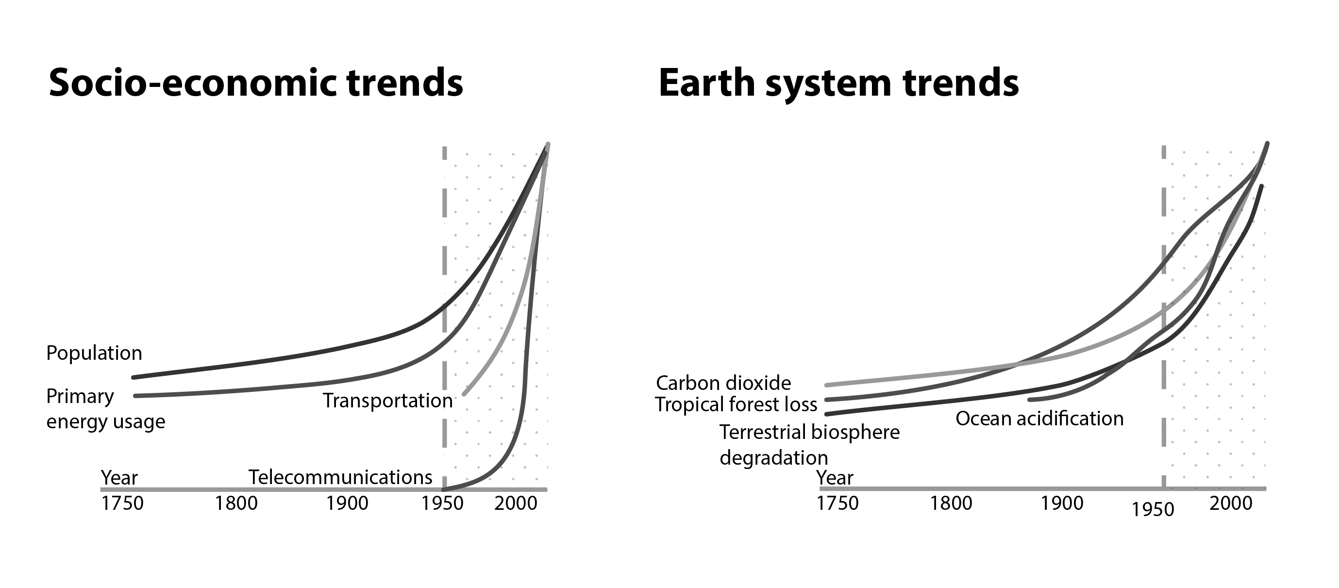 The Great Acceleration