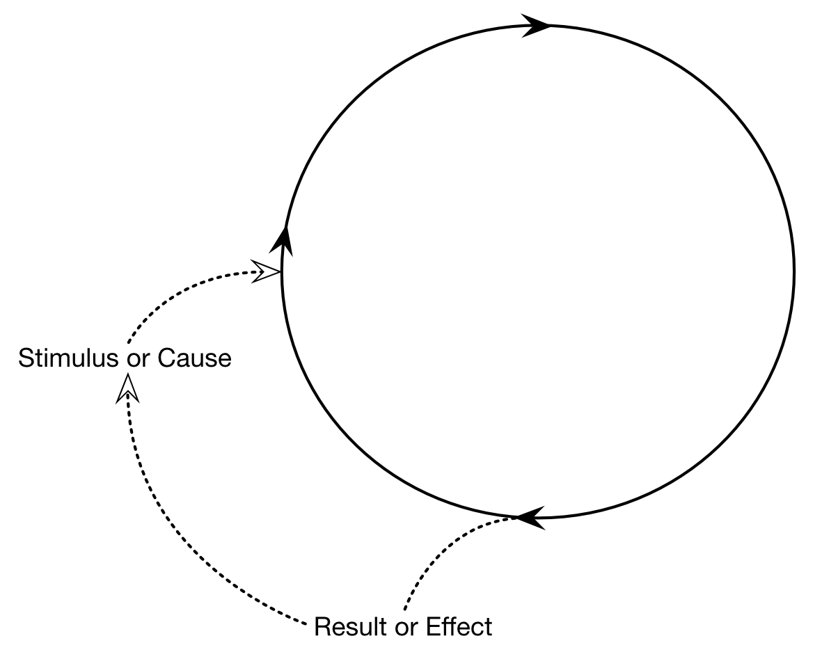 Cause and Effect Loop