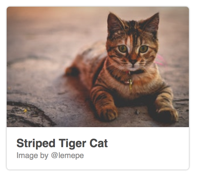 Who doesn't like cats?