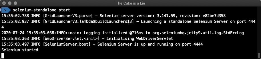 Terminal Output from running selenium-standalone 'start' command