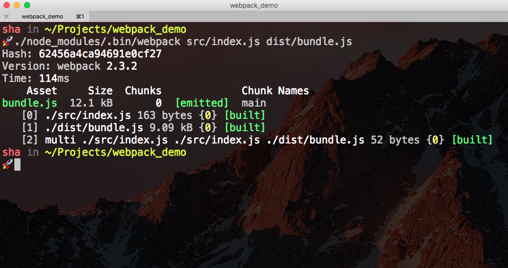 Terminal output from running the webpack command