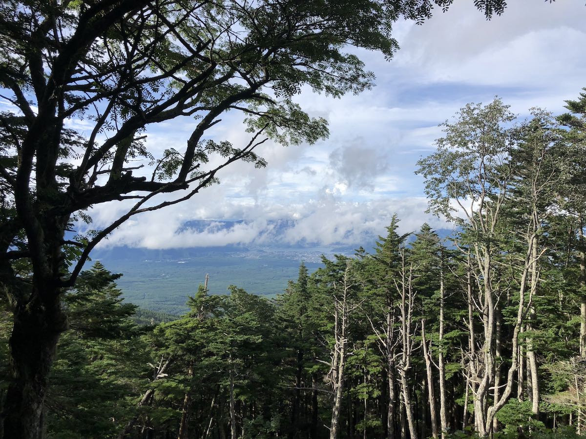 Lake Kawaguchiko in the distance