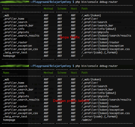 Any admin. Symfony web Profiler.