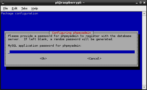 phpMyAdmin Administrative Password