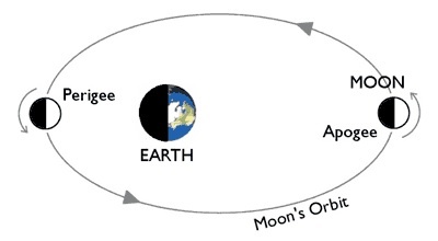 **Figure: Moon’s Orbit**. The Moon’s Orbit —Image Credit: sciencebrainwaves.com.