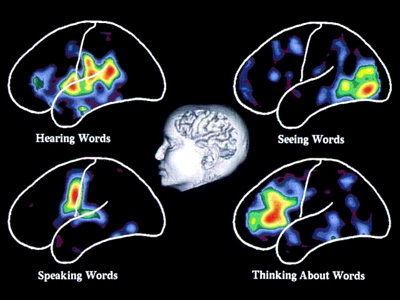 **Figure: Visualising Words**. Visualising Words. ---Image Credit: Marcus E. Raichle, Department of Radiology, Washington University School of Medicine, St. Louis, Missouri.