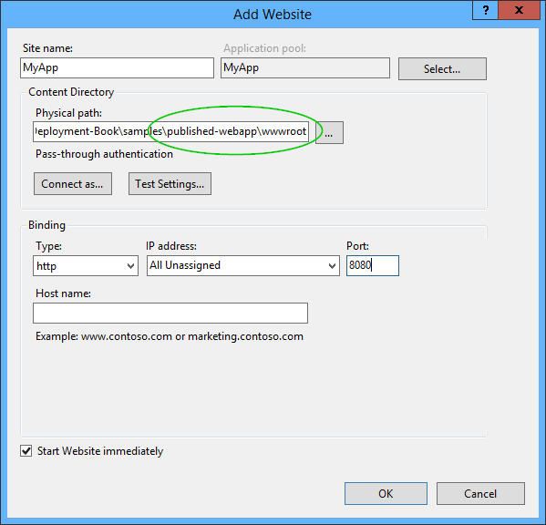 Creating an IIS web application pointing at the `wwwroot` folder