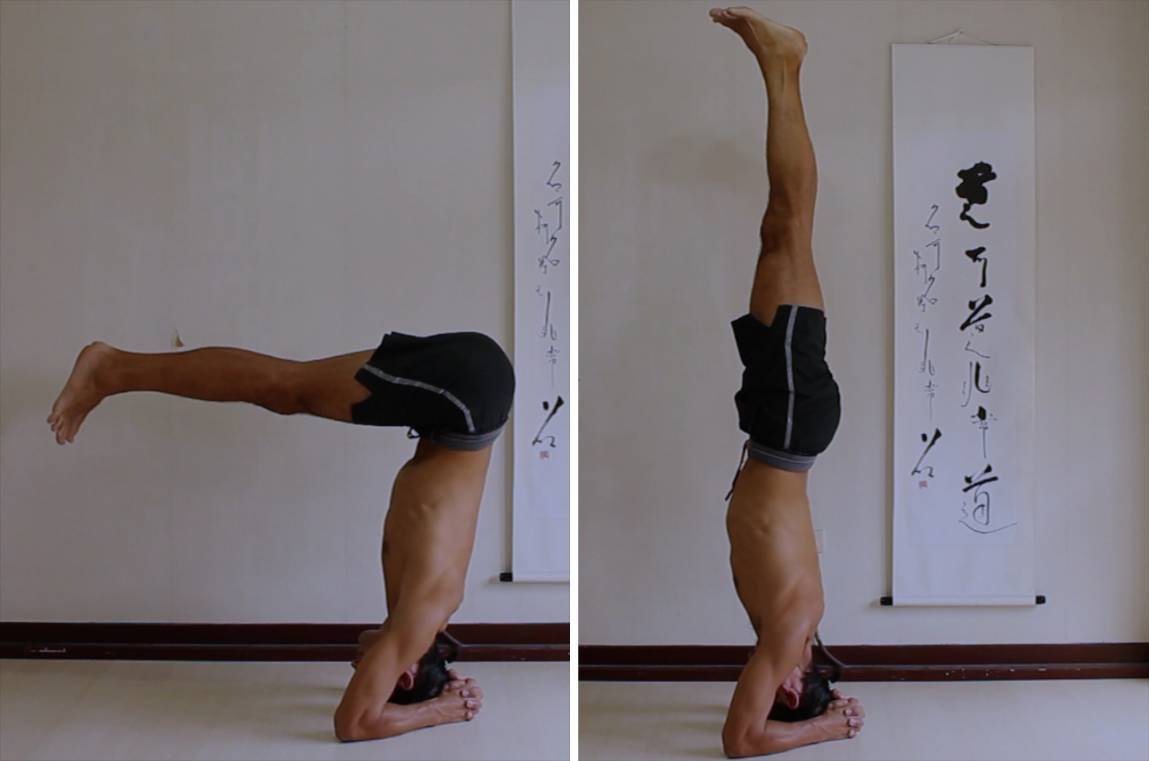 Playsfit - The Physics + Power of Balancing Poses. One-legged Standing  Yoga poses These asanas give us a chance to find our center of gravity and  dance around its edges and helps