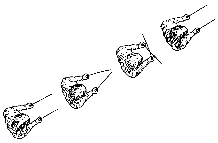 Figure 2.4: "X marks the spot" -- a typical response