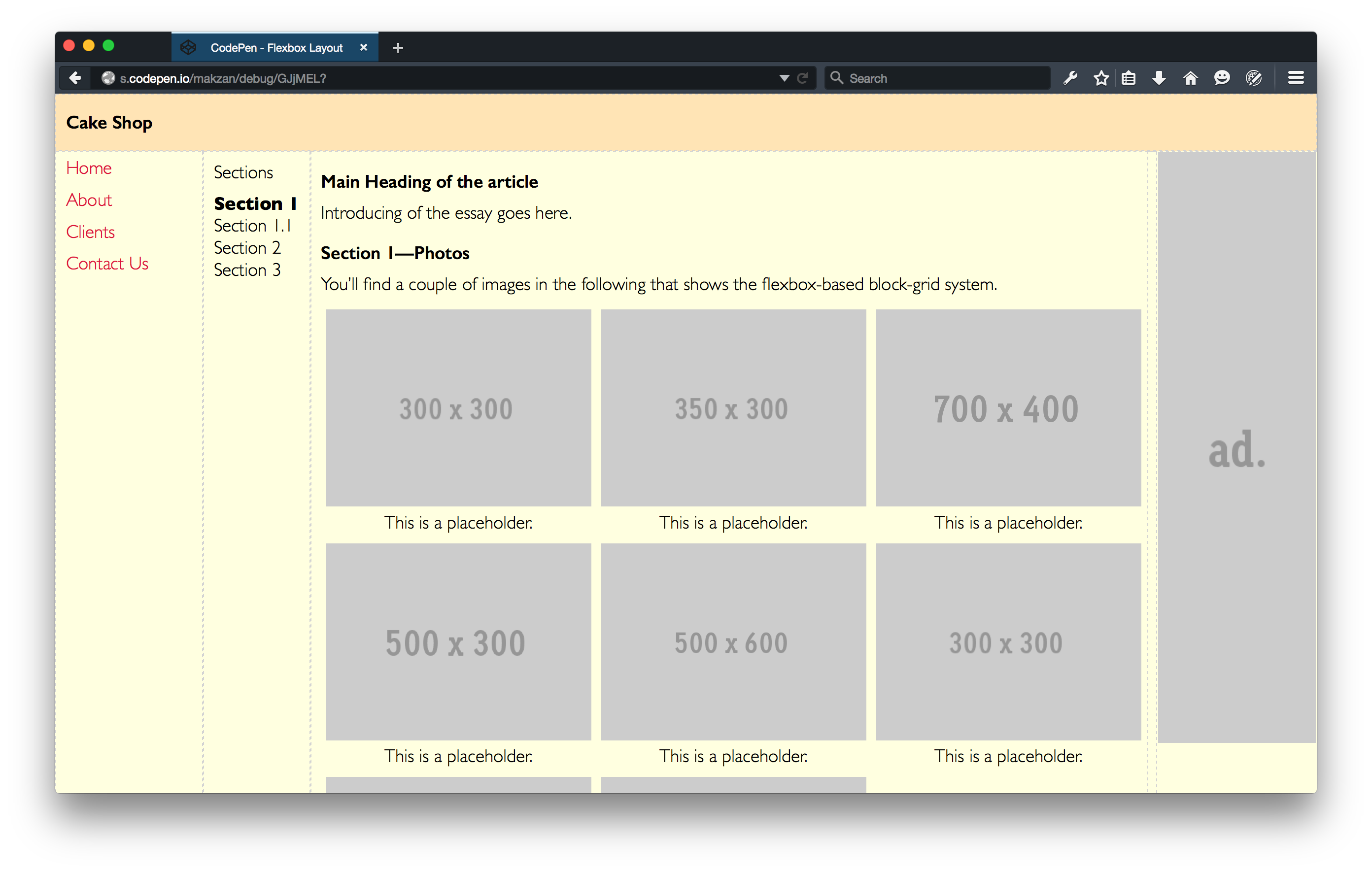 read-flexbox-website-leanpub