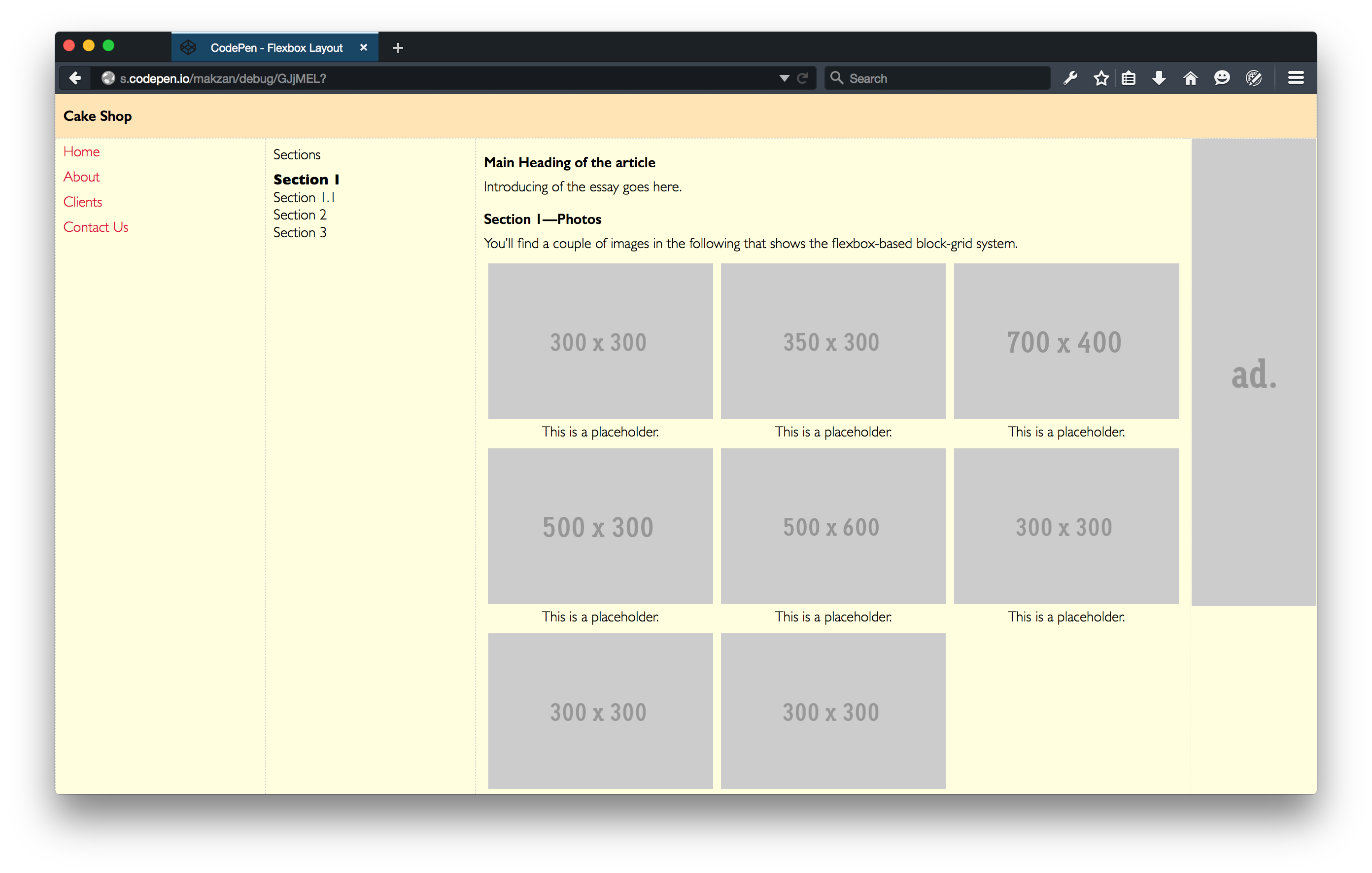 Codepen Flexbox Grid